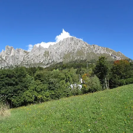 Oasi Dei Girasoli *