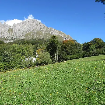 Oasi Dei Girasoli